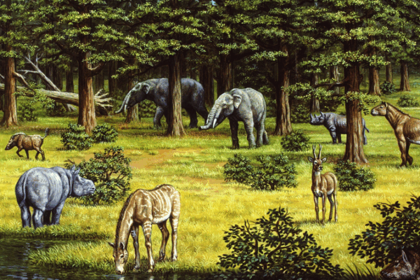 Plant Life Fuels Miocene Climate Shifts Plant_Life_Fuels_Miocene_Climate_Shifts