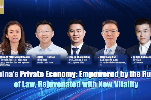 Private Sector Law Sparks Innovation on Chinese Mainland Private_Sector_Law_Sparks_Innovation_on_Chinese_Mainland video poster