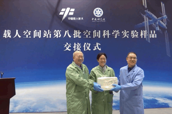 Shenzhou-19 Space Samples Ignite Scientific Discoveries Shenzhou_19_Space_Samples_Ignite_Scientific_Discoveries