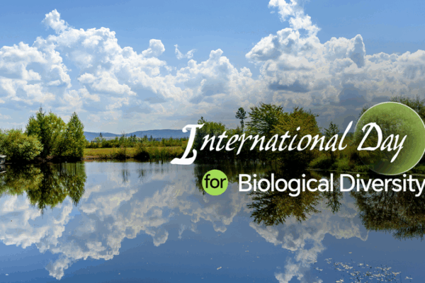 Tech & Nature in Harmony: Celebrating Biodiversity Day Tech___Nature_in_Harmony__Celebrating_Biodiversity_Day