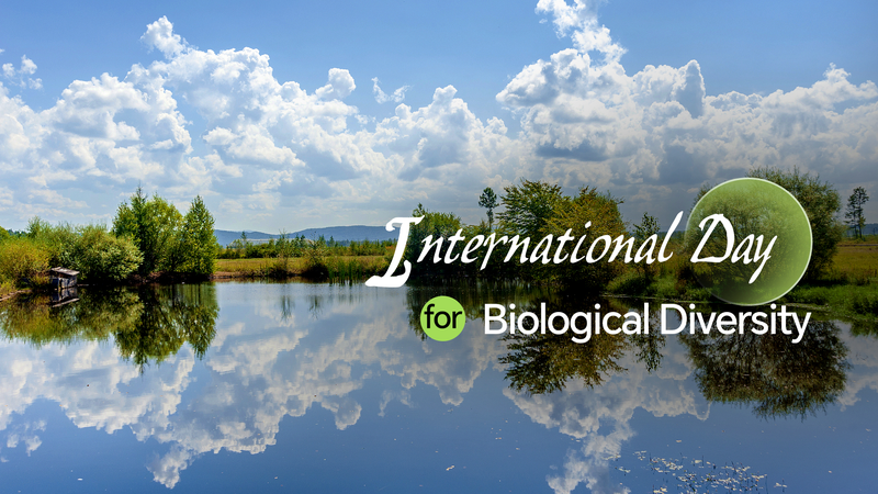 Tech___Nature_in_Harmony__Celebrating_Biodiversity_Day