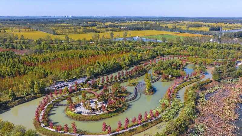 The Chinese Mainland’s 903 Wetland Parks: A Green Triumph The_Chinese_Mainland_s_903_Wetland_Parks__A_Green_Triumph