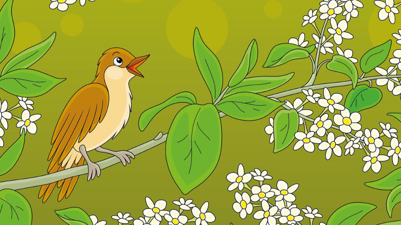 The_Nightingale__A_Danish_Fairy_Tale_Set_in_China