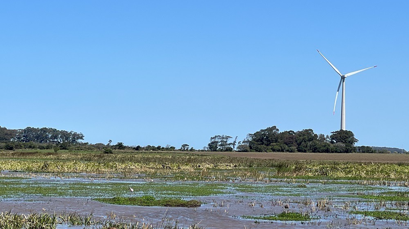 Xi_Jinping_Boosts_LAC_Ties_with_Bold_Global_Initiatives - News for amigos, by amigos Xi_Jinping_Boosts_LAC_Ties_with_Bold_Global_Initiatives