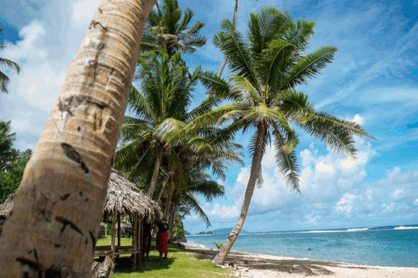 Xiamen Hosts Win-Win PICs Meeting, Boosting South Pacific Ties Xiamen_Hosts_Win_Win_PICs_Meeting__Boosting_South_Pacific_Ties