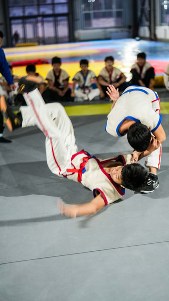 3000_Year_Chinese_Wrestling__Ancient_Art___Modern_Brilliance_poster - News for amigos, by amigos 3000_Year_Chinese_Wrestling__Ancient_Art___Modern_Brilliance video poster