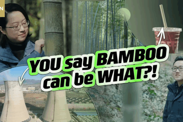 Bamboo Beats Plastic: A Chinese Mainland Green Solution Bamboo_Beats_Plastic__A_Chinese_Mainland_Green_Solution video poster