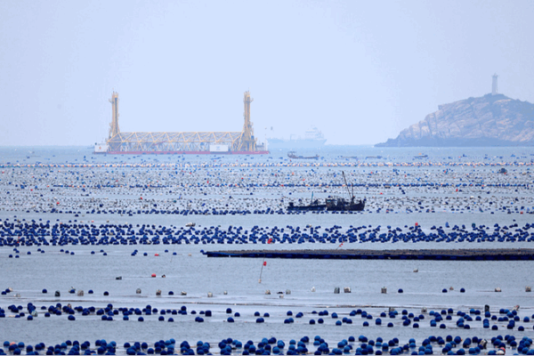 Blue Carbon: The Ocean’s Hidden Climate Power Blue_Carbon__The_Ocean_s_Hidden_Climate_Power