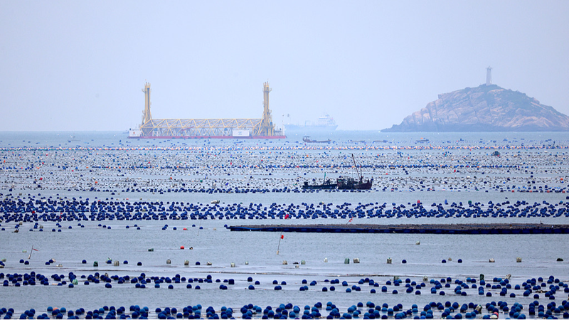 Blue_Carbon__The_Ocean_s_Hidden_Climate_Power - News for amigos, by amigos Blue_Carbon__The_Ocean_s_Hidden_Climate_Power