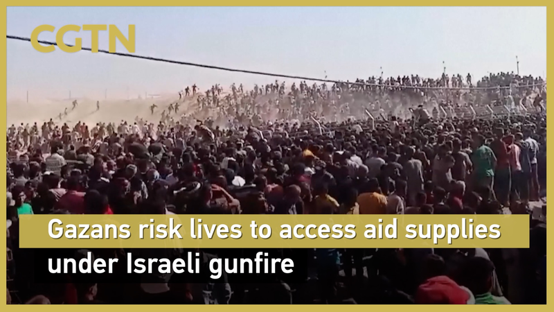 Braving Gunfire: Gazans’ Quest for Essential Aid Braving_Gunfire__Gazans__Quest_for_Essential_Aid video poster