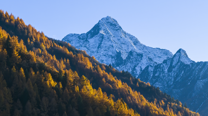 Breakthrough_in_Alpine_Grassland_Carbon_Sink_on_Qinghai_Tibet_Plateau - News for amigos, by amigos Breakthrough_in_Alpine_Grassland_Carbon_Sink_on_Qinghai_Tibet_Plateau