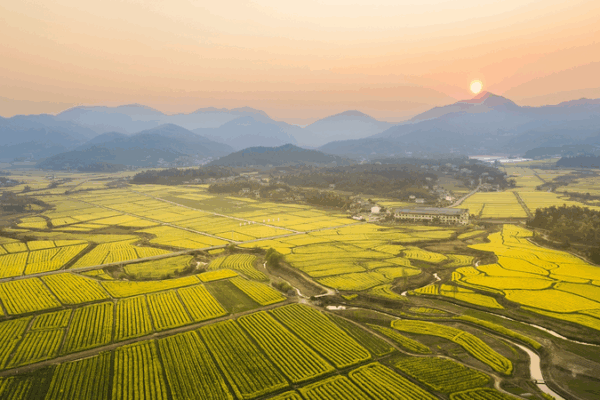 Changsha Hosts 2025 Cultural & Natural Heritage Day Changsha_Hosts_2025_Cultural___Natural_Heritage_Day