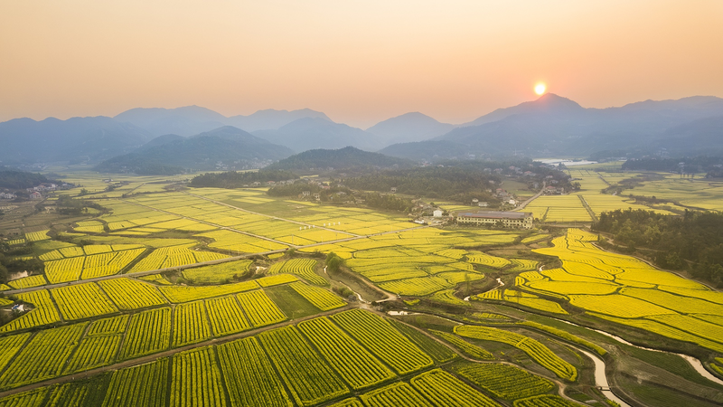 Changsha_Hosts_2025_Cultural___Natural_Heritage_Day - News for amigos, by amigos Changsha_Hosts_2025_Cultural___Natural_Heritage_Day