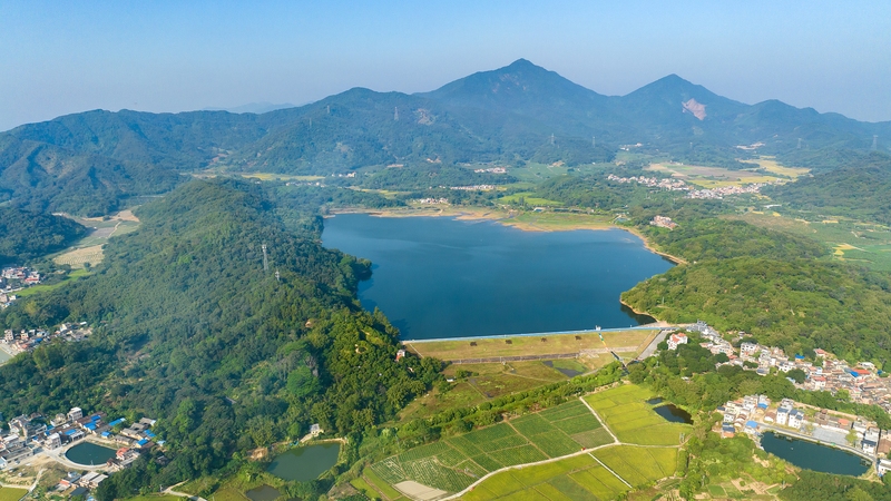 China_Champions_Global_Green_Cooperation_for_a_Sustainable_Future - News for amigos, by amigos China_Champions_Global_Green_Cooperation_for_a_Sustainable_Future