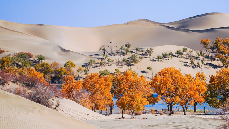 China___Central_Asia_Unite_to_Turn_Deserts_into_Thriving_Oases