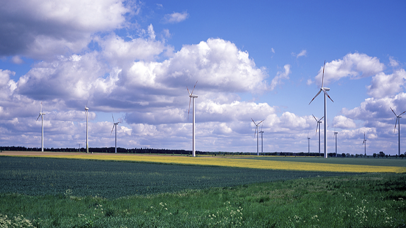 China and EU Lead the Global Green Energy Transition China_and_EU_Lead_the_Global_Green_Energy_Transition