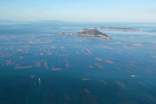 China’s Ocean Vision Fuels Global Cooperation on World Oceans Day China_s_Ocean_Vision_Fuels_Global_Cooperation_on_World_Oceans_Day
