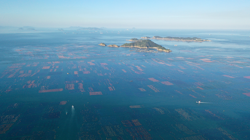 China_s_Ocean_Vision_Fuels_Global_Cooperation_on_World_Oceans_Day - News for amigos, by amigos China_s_Ocean_Vision_Fuels_Global_Cooperation_on_World_Oceans_Day