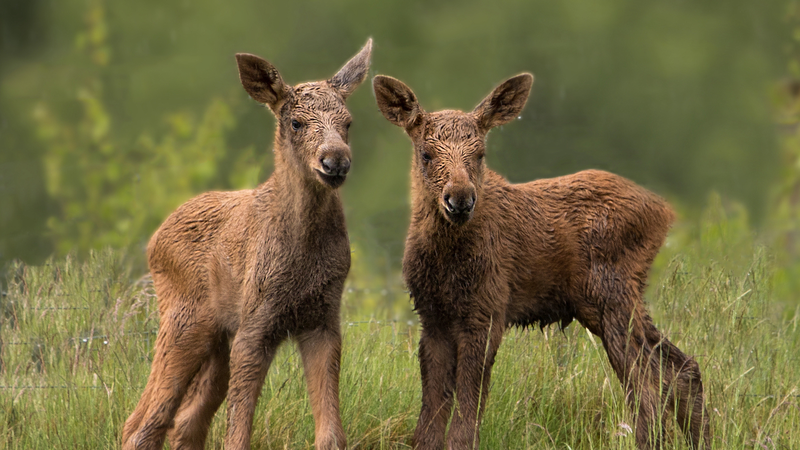 Chinese_Mainland___Britain_Unite_on_Green_Finance - News for amigos, by amigos Chinese_Mainland___Britain_Unite_on_Green_Finance