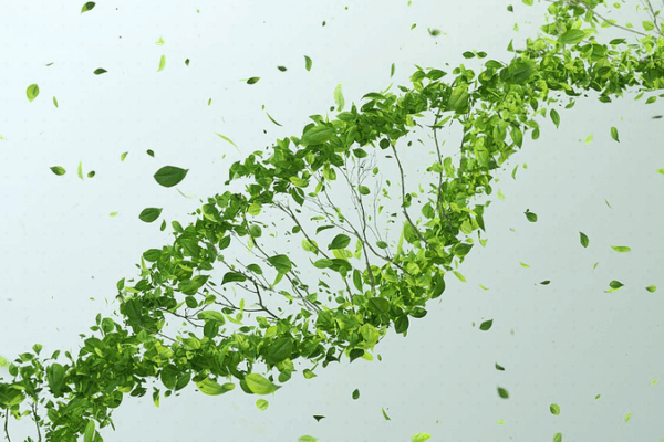 Chinese and Israeli Teams Revolutionize Crop Gene Editing Chinese_and_Israeli_Teams_Revolutionize_Crop_Gene_Editing
