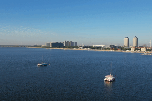 DFTP Marks 1,000-Vessel Shipping Milestone! DFTP_Marks_1_000_Vessel_Shipping_Milestone_