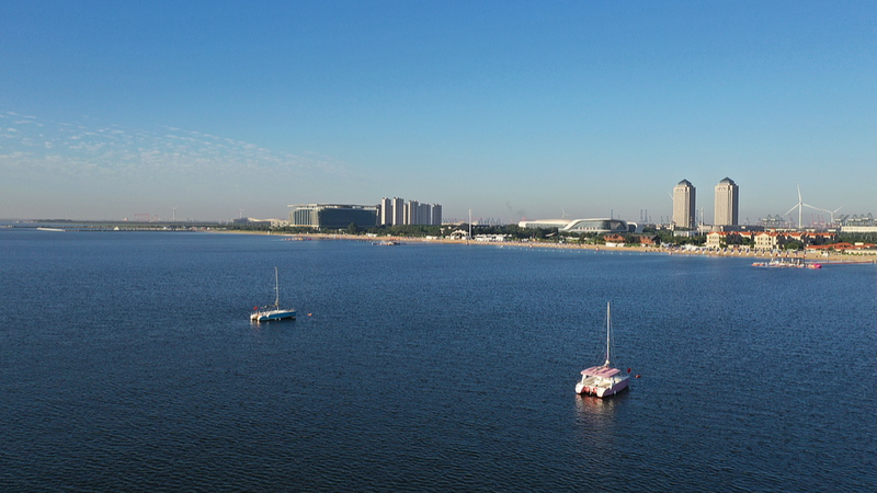 DFTP_Marks_1_000_Vessel_Shipping_Milestone_ - News for amigos, by amigos DFTP_Marks_1_000_Vessel_Shipping_Milestone_