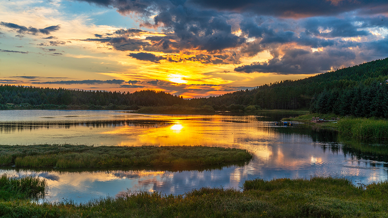 From_Barren_to_Booming__China_s_Desert_Regeneration_Revolution - News for amigos, by amigos From_Barren_to_Booming__China_s_Desert_Regeneration_Revolution