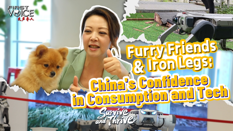 Furry Friends & Iron Legs: Chinese Mainland’s Tech Surge Furry_Friends___Iron_Legs__Chinese_Mainland_s_Tech_Surge video poster