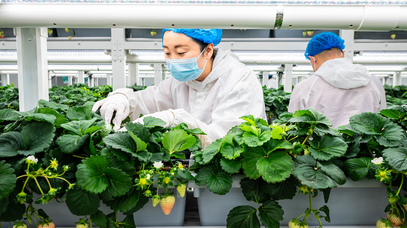 Green Transformation Fuels New Quality Growth Green_Transformation_Fuels_New_Quality_Growth