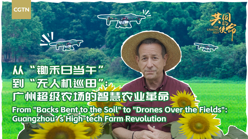 Guangzhou_s_SuperX_Farm_Sparks_a_High_Tech_Agri_Revolution video poster