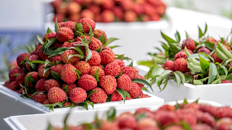 Haikou_s_Volcanic_Lychee_King_Sweetens_Rural_Revival - News for amigos, by amigos Haikou_s_Volcanic_Lychee_King_Sweetens_Rural_Revival