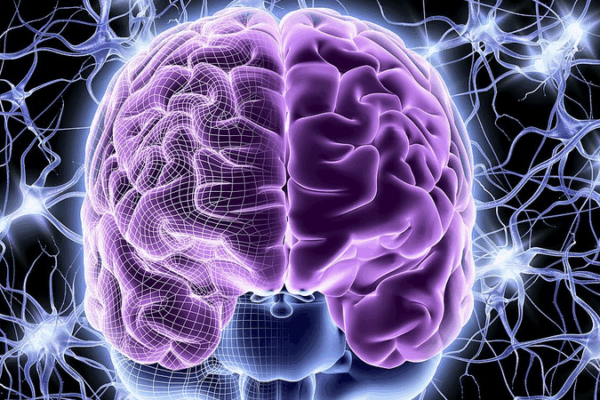 Innovative Hydrogel Offers New Hope for Brain Injury Recovery Innovative_Hydrogel_Offers_New_Hope_for_Brain_Injury_Recovery