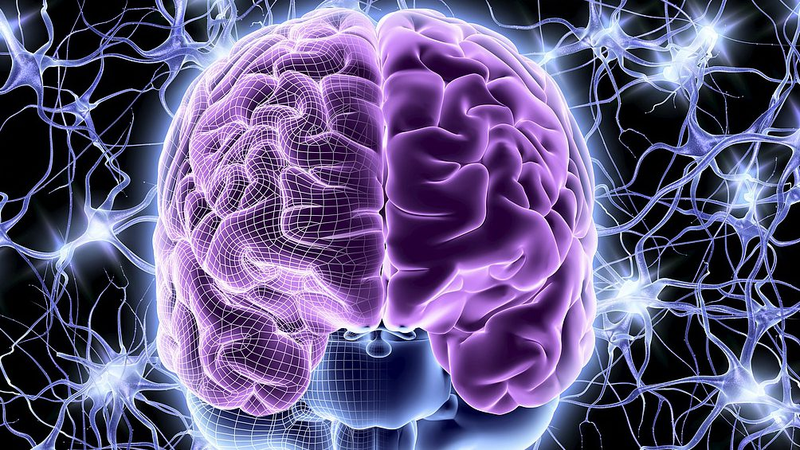 Innovative_Hydrogel_Offers_New_Hope_for_Brain_Injury_Recovery