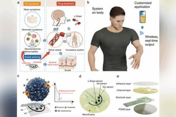 Innovative Wearable Patch for Early Parkinson’s Detection Innovative_Wearable_Patch_for_Early_Parkinson_s_Detection