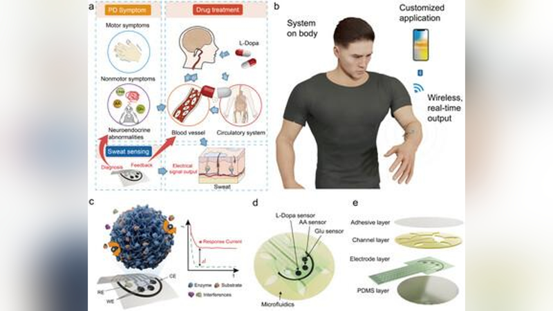 Innovative_Wearable_Patch_for_Early_Parkinson_s_Detection - News for amigos, by amigos Innovative_Wearable_Patch_for_Early_Parkinson_s_Detection