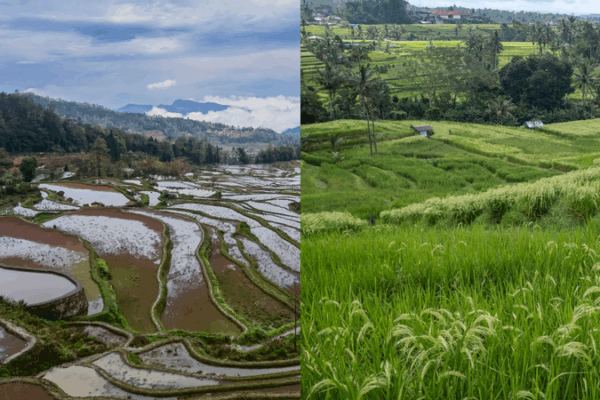Irrigation Marvels: Honghe Hani & Bali Subak Inspire Tourism Irrigation_Marvels__Honghe_Hani___Bali_Subak_Inspire_Tourism