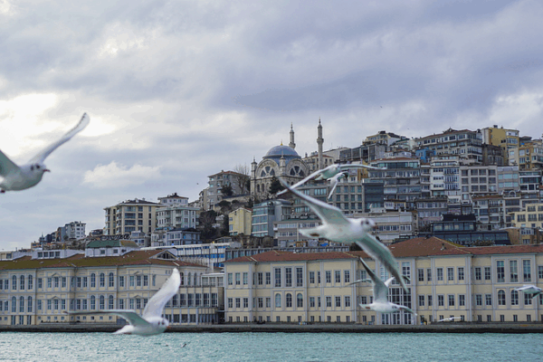 Istanbul Hosts Live Russia-Ukraine Peace Talks Istanbul_Hosts_Live_Russia_Ukraine_Peace_Talks video poster