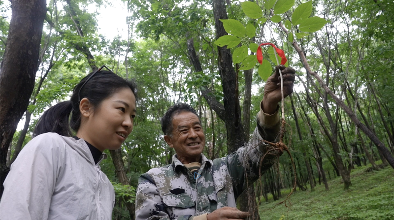Ji’an’s Rural Reinvention: A Model for Sustainable Growth Ji_an_s_Rural_Reinvention__A_Model_for_Sustainable_Growth video poster