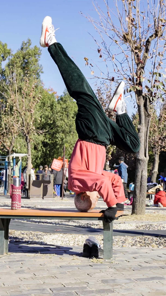 Kung_Fu_in_Motion__Life_as_Art video poster