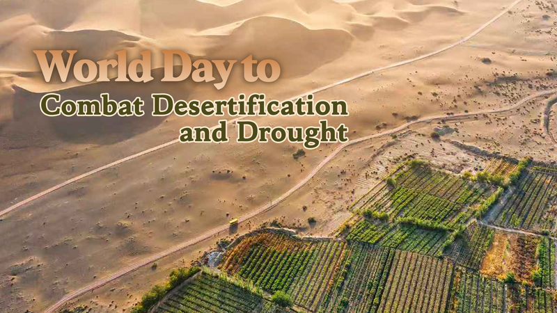 Land Restoration Unlocks Green Opportunities Land_Restoration_Unlocks_Green_Opportunities