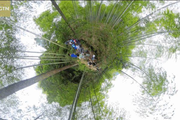 Nature Takes You for a Spin: Bamboo Run in Zhejiang’s Anji Nature_Takes_You_for_a_Spin__Bamboo_Run_in_Zhejiang_s_Anji video poster