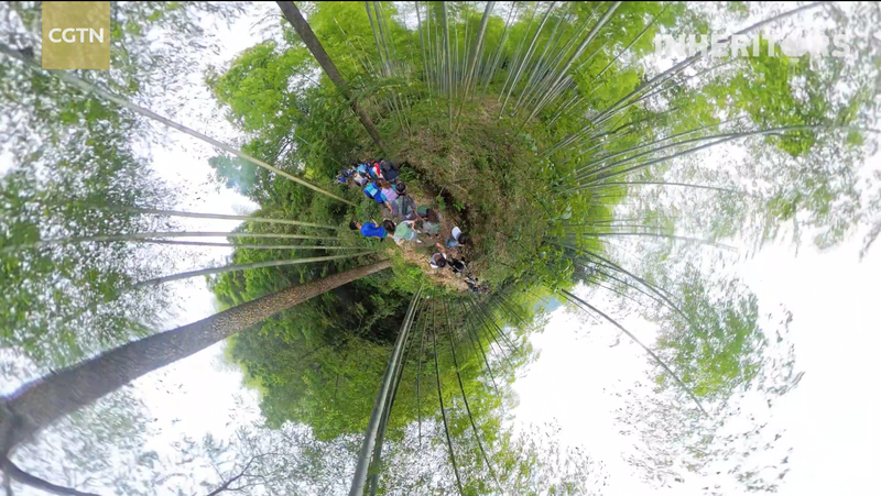 Nature_Takes_You_for_a_Spin__Bamboo_Run_in_Zhejiang_s_Anji_poster - News for amigos, by amigos Nature_Takes_You_for_a_Spin__Bamboo_Run_in_Zhejiang_s_Anji video poster