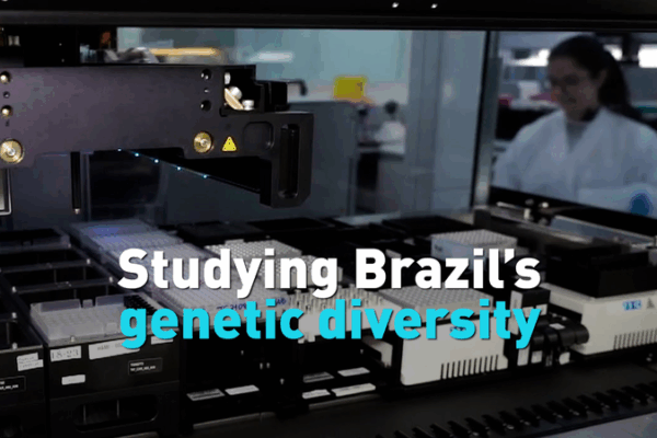 New_Genetic_Study_Reveals_Brazil_s_Ethnic_Mosaic video poster
