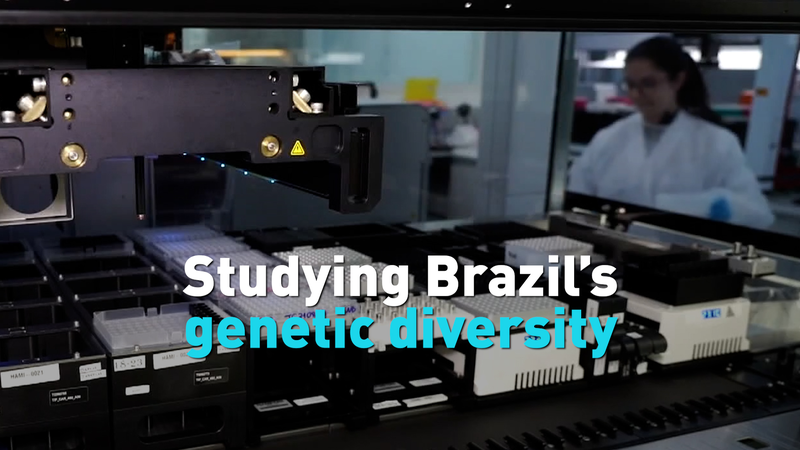 New_Genetic_Study_Reveals_Brazil_s_Ethnic_Mosaic video poster