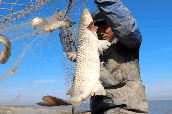 Ocean Dreams: Fishermen Embrace Modern Maritime Life Ocean_Dreams__Fishermen_Embrace_Modern_Maritime_Life