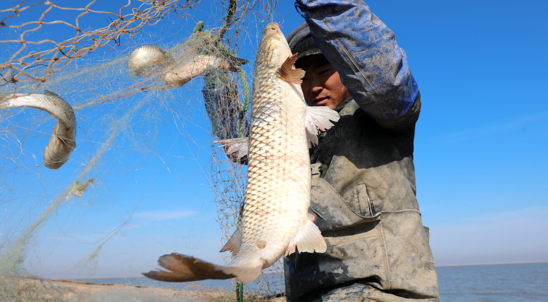 Ocean_Dreams__Fishermen_Embrace_Modern_Maritime_Life - News for amigos, by amigos Ocean_Dreams__Fishermen_Embrace_Modern_Maritime_Life