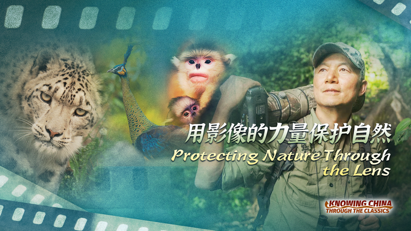 Protecting Nature Through the Lens: Xi Zhinong’s 40-Year Journey Protecting_Nature_Through_the_Lens__Xi_Zhinong_s_40_Year_Journey video poster