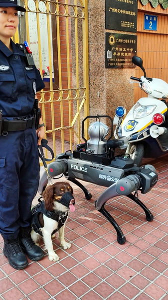 Real vs Robotic: A Pawsome Encounter on Gaokao Day Real_vs_Robotic__A_Pawsome_Encounter_on_Gaokao_Day video poster
