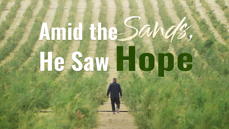 Turning Sand into Hope: Jia Cunpeng’s Desert Revival Turning_Sand_into_Hope__Jia_Cunpeng_s_Desert_Revival video poster