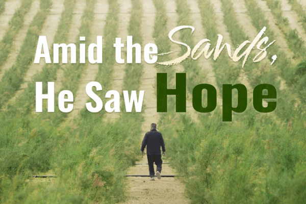 Turning Sands into Hope: Xinjiang’s Eco Miracle Turning_Sands_into_Hope__Xinjiang_s_Eco_Miracle video poster